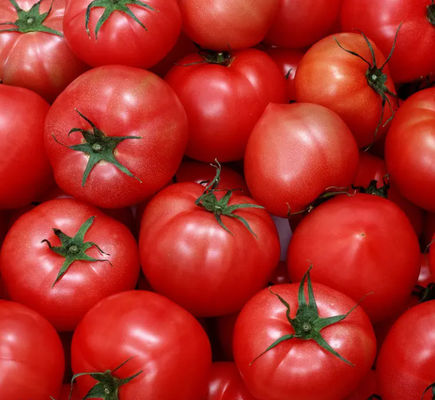 Linea di produzione automatica della salsa ketchup 6,5 tonnellate all'ora