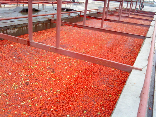 Automatic Stainless Steel Fruit Jam Paste Sauce Processing Line With Filling Accuracy ≤±1%