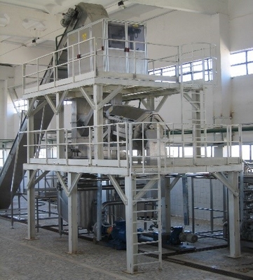 Customized Size Mango Pulp Processing Machinery 20t/h Mango Pulp Filling Packing