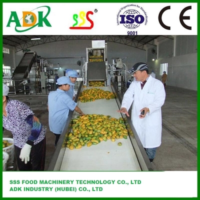 Efficient Orange Mango Pineapple Fruit Juice Production Line with Automatic Grade