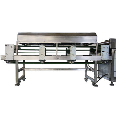 Linea di produzione di tortillas a 50 Hz equipaggiata per la produzione di tortillas in impianti di trasformazione alimentare