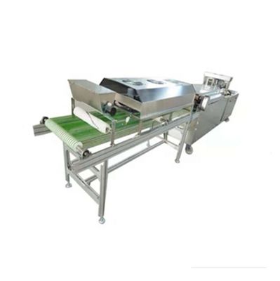 Macchine da tortilla commerciali d'argento di grado automatico automatico a fila singola