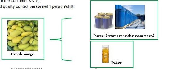 linea di produzione del purè del mango dell'imballaggio della borsa di 220L Aspetic 3 tonnellate all'ora