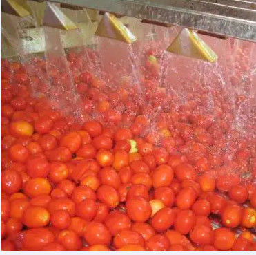 Linea di trasformazione alta velocità della passata di pomodoro automatica