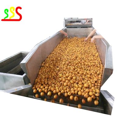 Linea di produzione concentrata della polpa della frutta per i lamponi delle fragole di Blueberrues