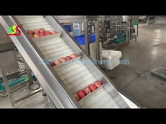 Linea di produzione concentrata della polpa della frutta capacità elevata