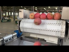 Linea di trasformazione della frutta in acciaio inossidabile di grado alimentare con imballaggio automatico